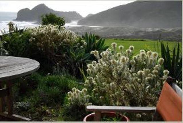 Bethells Beach Cottages Zewnętrze zdjęcie